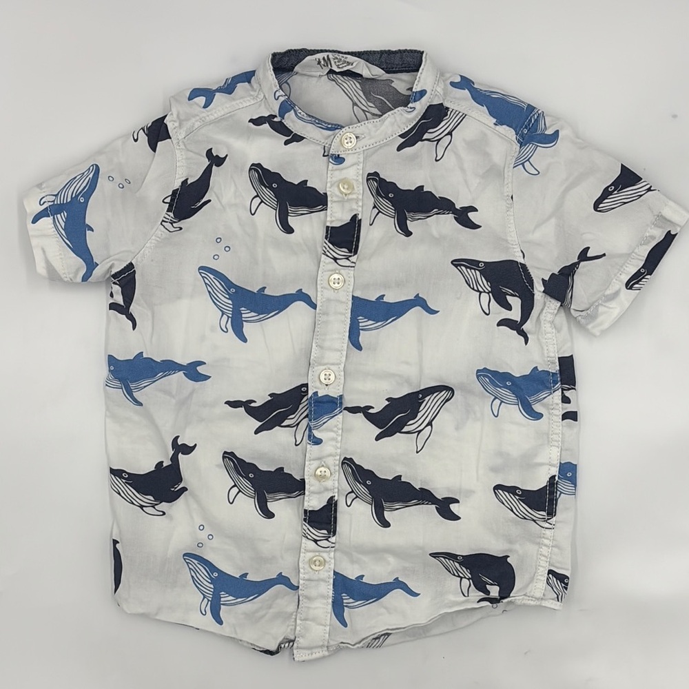 H&M Blue and Black Button Down Shirt with Dynamic Bird Print